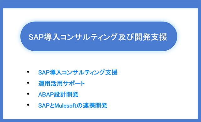 SAP導入コンサルティング及び開発支援