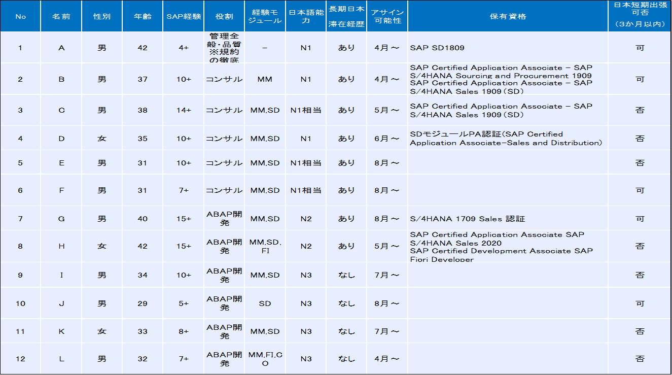 ERP開発体制